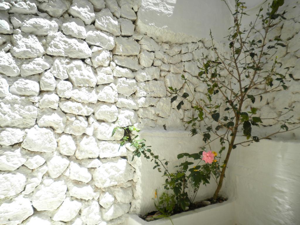 Kostas Studios II Vasilikí Eksteriør billede